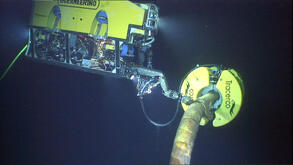 Discovery on a subsea pipeline
