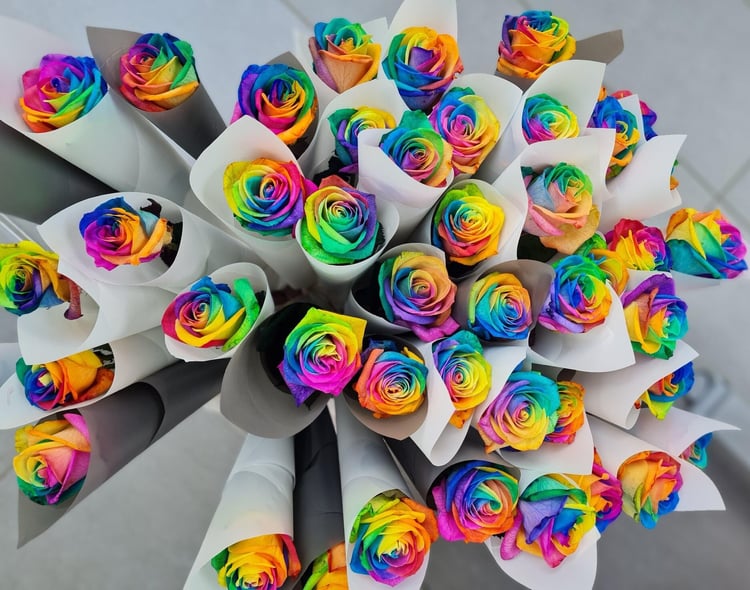 Pride roses landscape